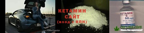 гашик Новодвинск
