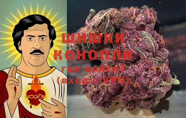 гашик Новодвинск
