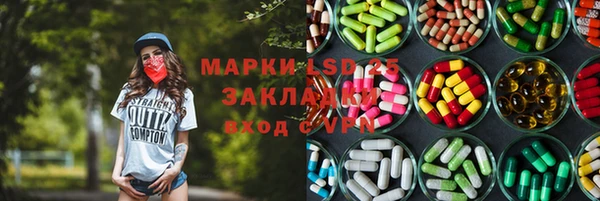 гашик Новодвинск