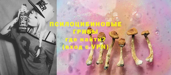гашик Новодвинск