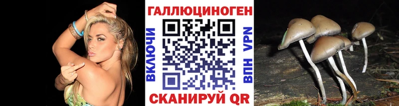 Галлюциногенные грибы GOLDEN TEACHER Нововоронеж